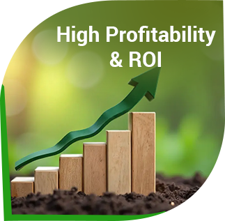 Comprehensive Support